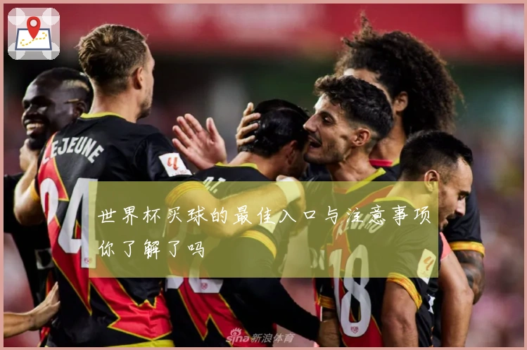 世界杯买球的最佳入口与注意事项你了解了吗