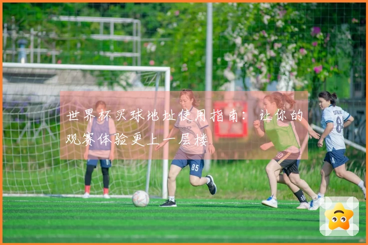 世界杯买球地址使用指南：让你的观赛体验更上一层楼
