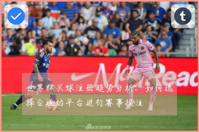 世界杯买球注册趋势分析：如何选择合适的平台进行赛事投注