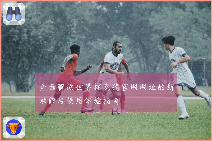全面解读世界杯竞猜官网网址的新功能与使用体验指南