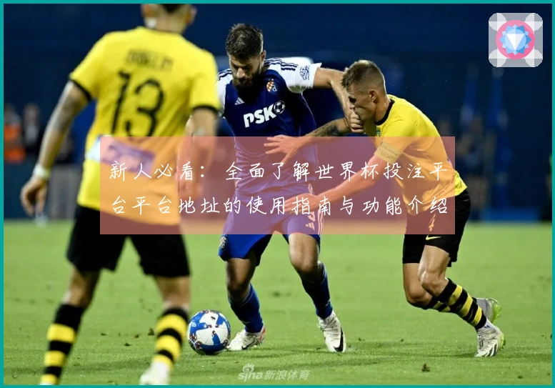 新人必看：全面了解世界杯投注平台平台地址的使用指南与功能介绍