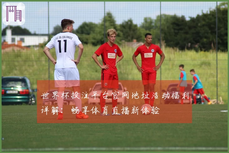 世界杯投注平台官网地址活动福利详解：畅享体育直播新体验