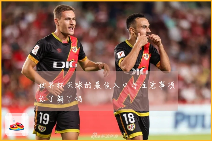 世界杯买球的最佳入口与注意事项你了解了吗