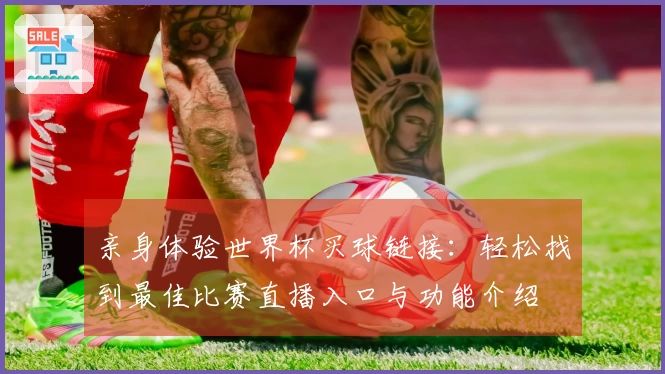 亲身体验世界杯买球链接：轻松找到最佳比赛直播入口与功能介绍