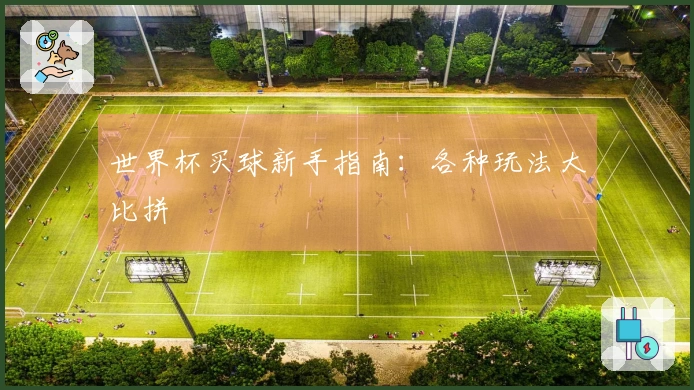 世界杯买球新手指南：各种玩法大比拼