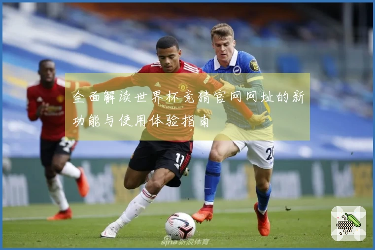全面解读世界杯竞猜官网网址的新功能与使用体验指南