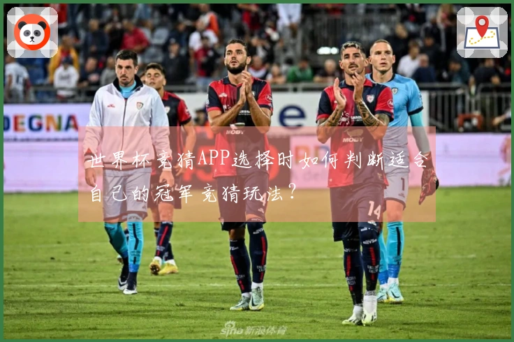 世界杯竞猜APP选择时如何判断适合自己的冠军竞猜玩法？