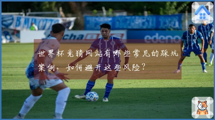 世界杯竞猜网站有哪些常见的踩坑案例，如何避开这些风险？