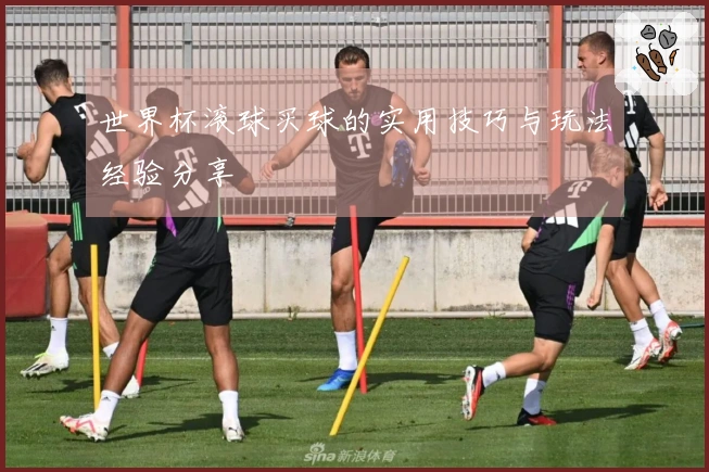 世界杯滚球买球的实用技巧与玩法经验分享
