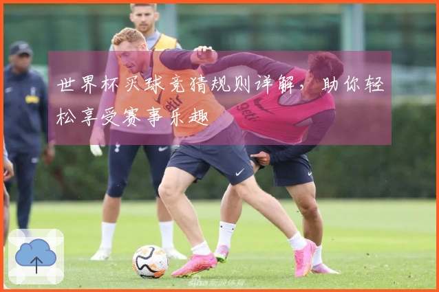 世界杯买球竞猜规则详解，助你轻松享受赛事乐趣
