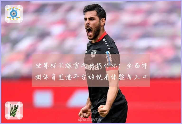 世界杯买球官网功能对比：全面评测体育直播平台的使用体验与入口指南